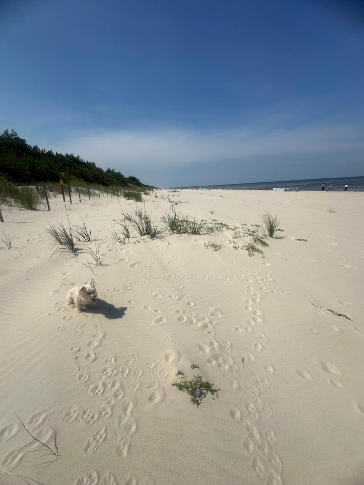Baltic Holidays Gaski  Bagian luar foto